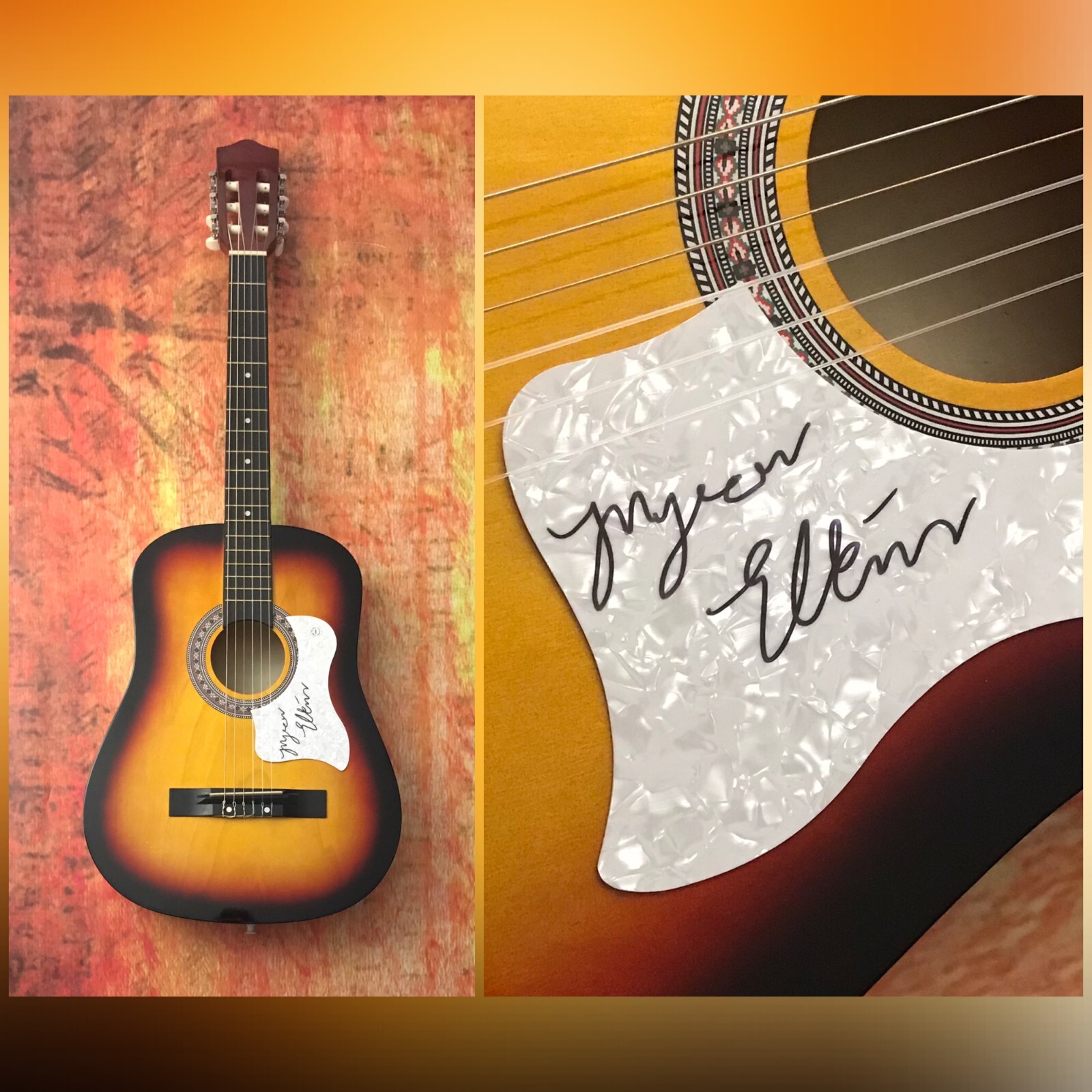 GFA Factories, Farms & Amphetamines * MYRON ELKINS * Signed Acoustic Guitar COA