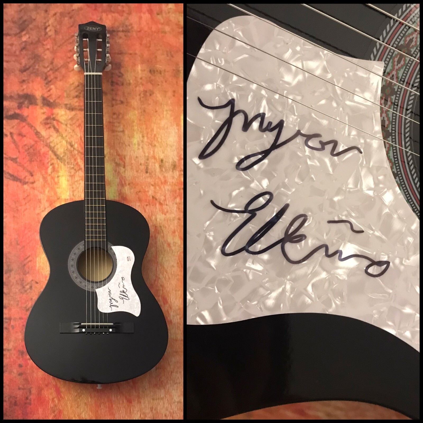 PSA Factories, Farms & Amphetamines * MYRON ELKINS * Signed Acoustic Guitar COA