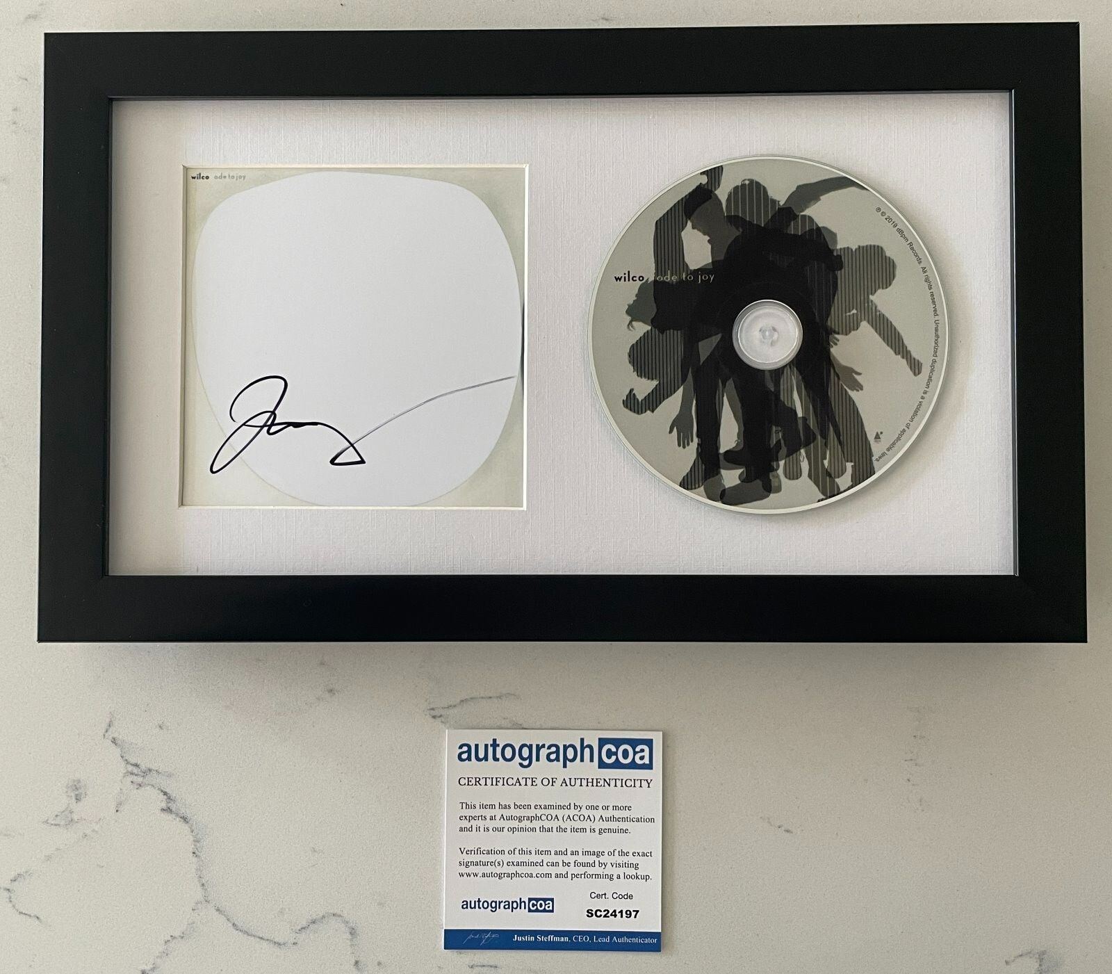 JEFF TWEEDY SIGNED WILCO ODE TO JOY FRAMED CD w/EXACT PROOF AUTOGRAPH COA ACOA