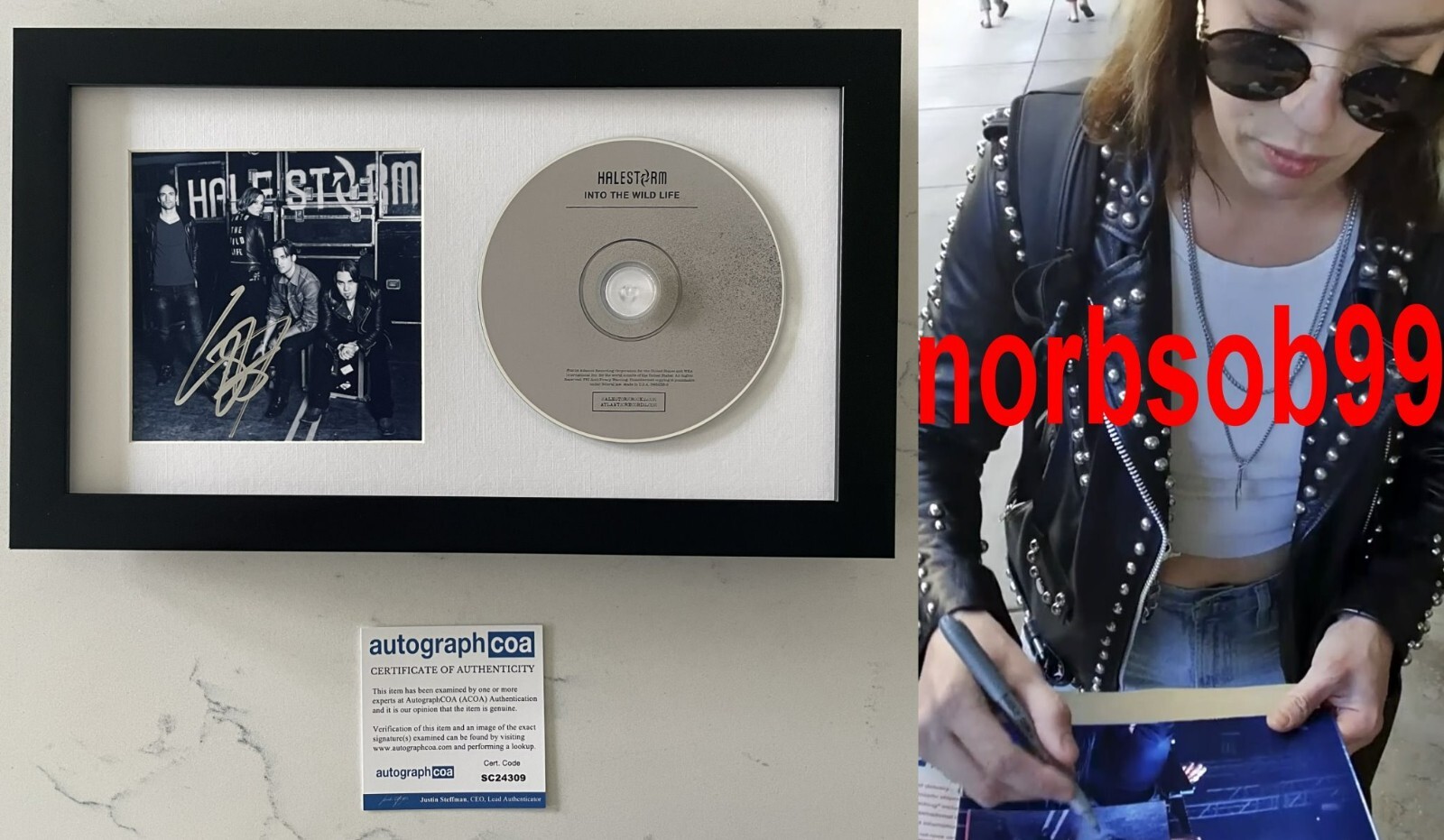 LZZY HALE SIGNED HALESTORM INTO THE WILD LIFE FRAMED CD w/EXACT PROOF & COA ACOA