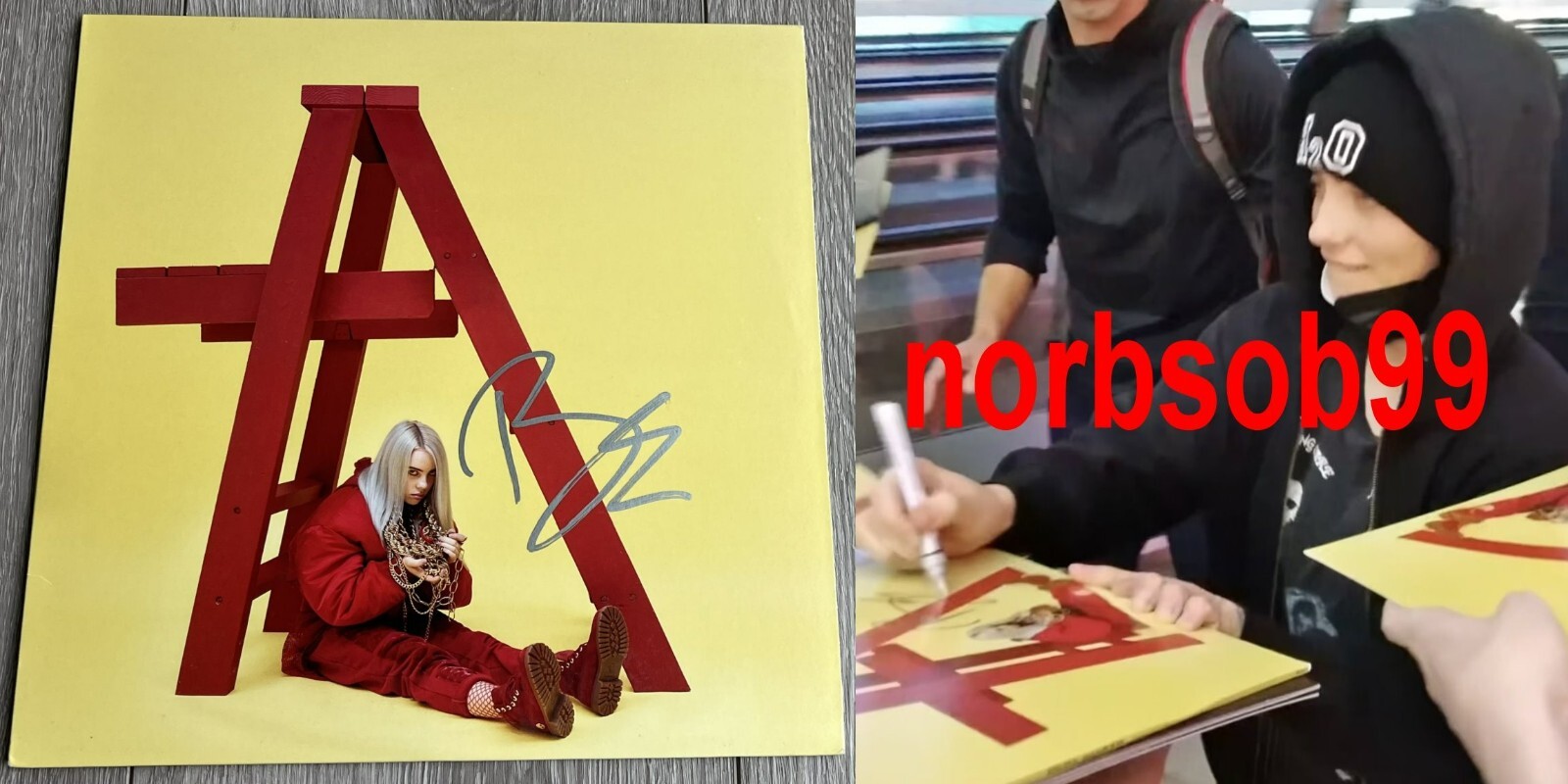 BILLIE EILISH SIGNED DON'T SMILE AT ME VINYL w/EXACT VIDEO PROOF & BECKETT COA