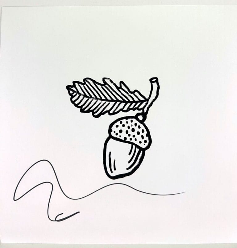 ED SHEERAN SIGNED AUTOGRAPH “AUTUMN VARIATIONS” RECORD INSERT JSA ORANGE VINYL COLLECTIBLE MEMORABILIA
