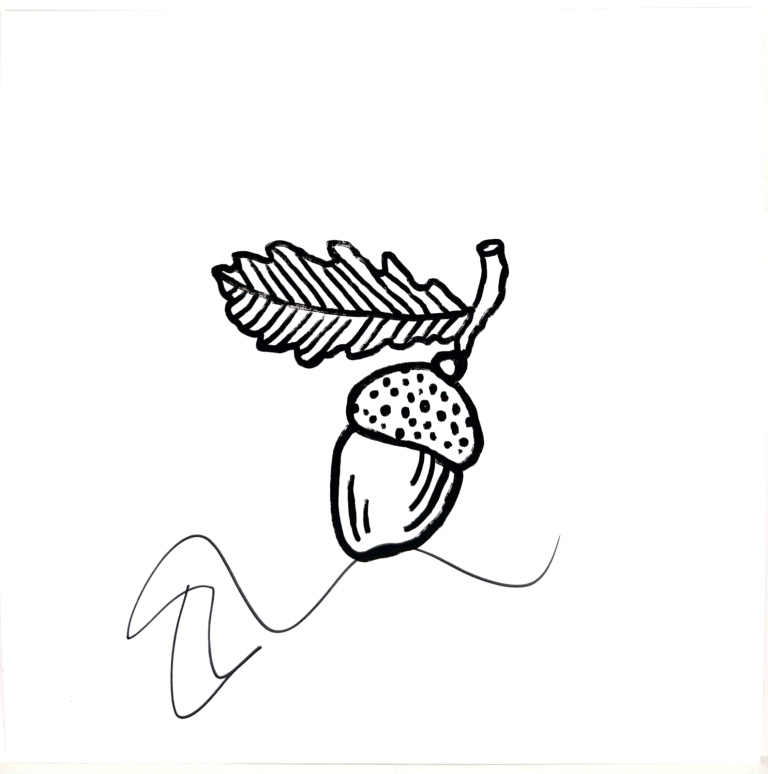 ED SHEERAN SIGNED AUTOGRAPH “AUTUMN VARIATIONS” RECORD INSERT JSA WHITE VINYL COLLECTIBLE MEMORABILIA