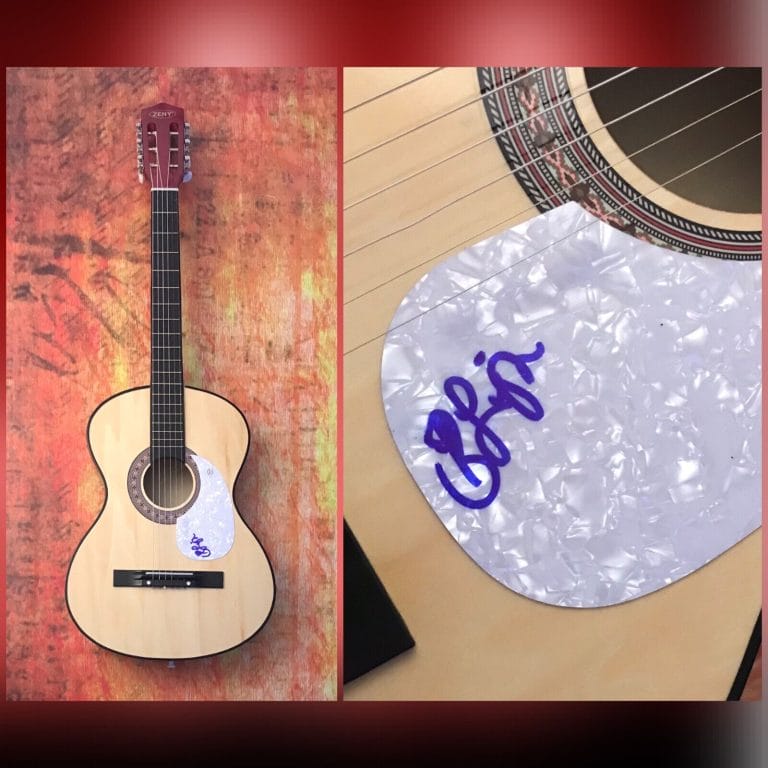 GFA OBSESSED WITH THE WEST * BRENNEN LEIGH * SIGNED ACOUSTIC GUITAR B2 COA COLLECTIBLE MEMORABILIA
