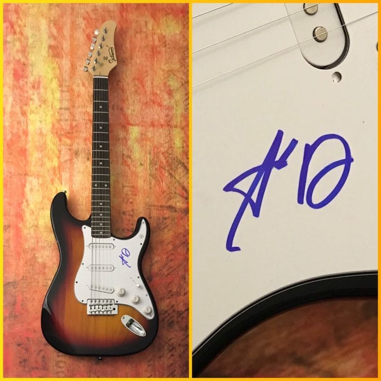 GFA PITCH PERFECT BUMPER STAR * ADAM DEVINE * SIGNED ELECTRIC GUITAR COA COLLECTIBLE MEMORABILIA