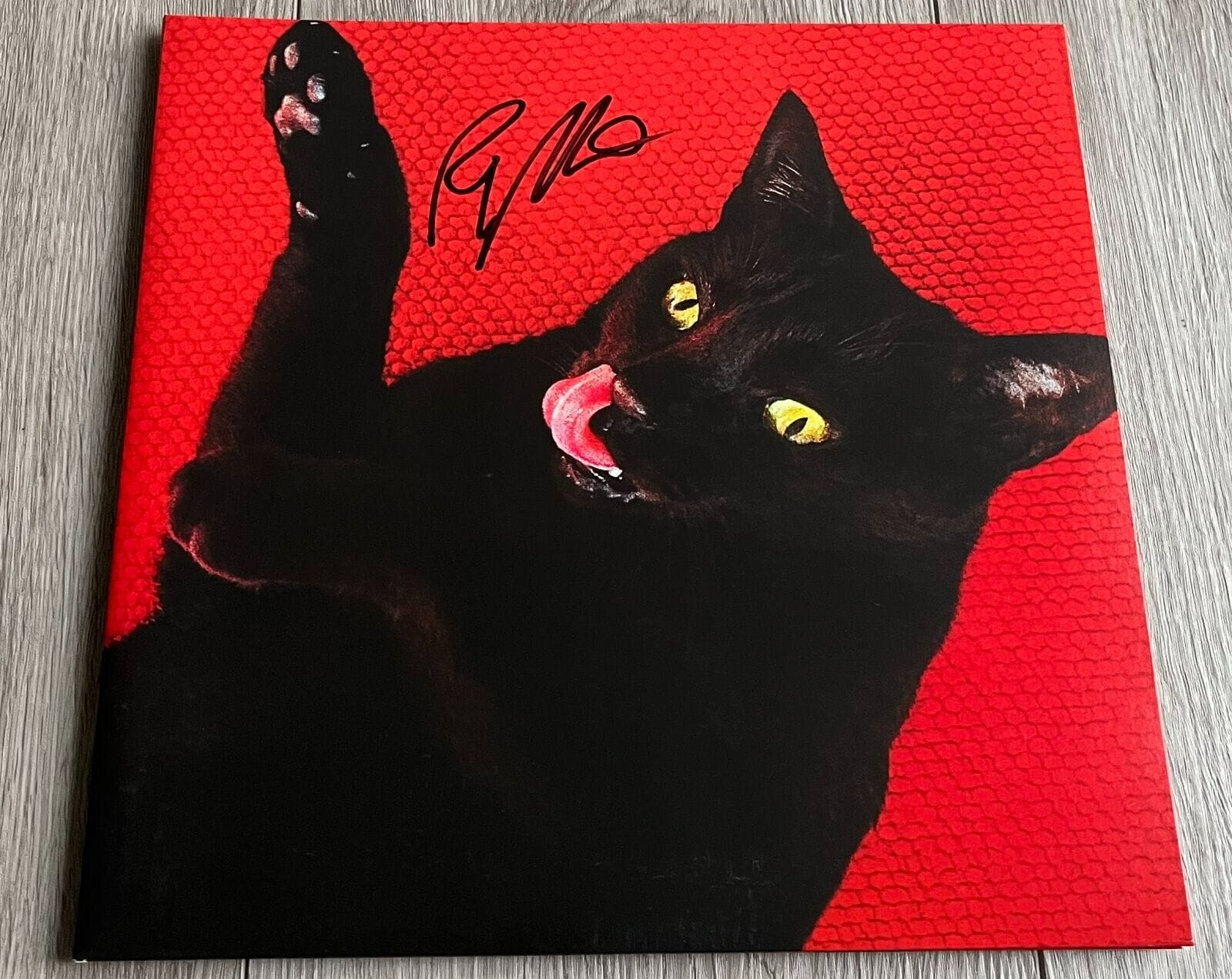 RYAN ADAMS SIGNED AUTOGRAPH BIG COLORS VINYL ALBUM RECORD LP & BECKETT COA