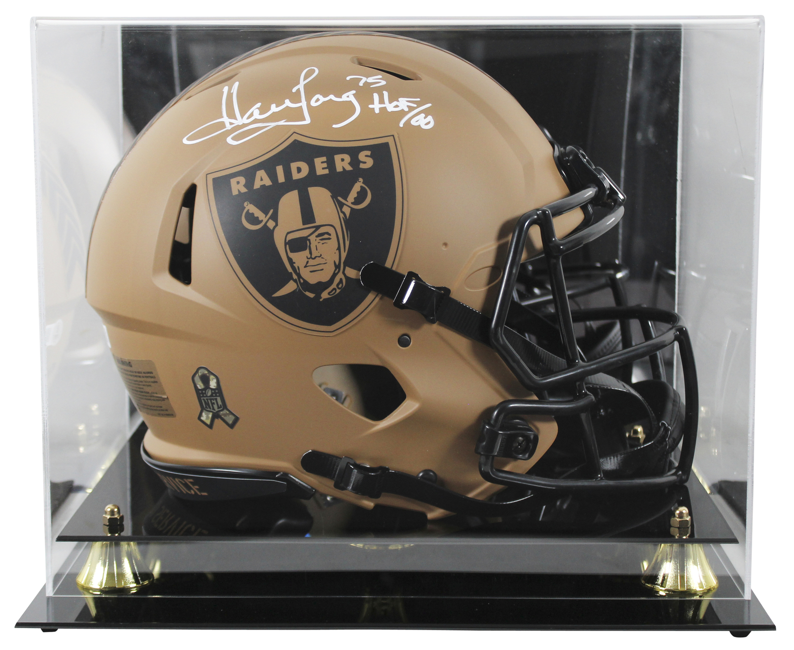 Raiders Howie Long 