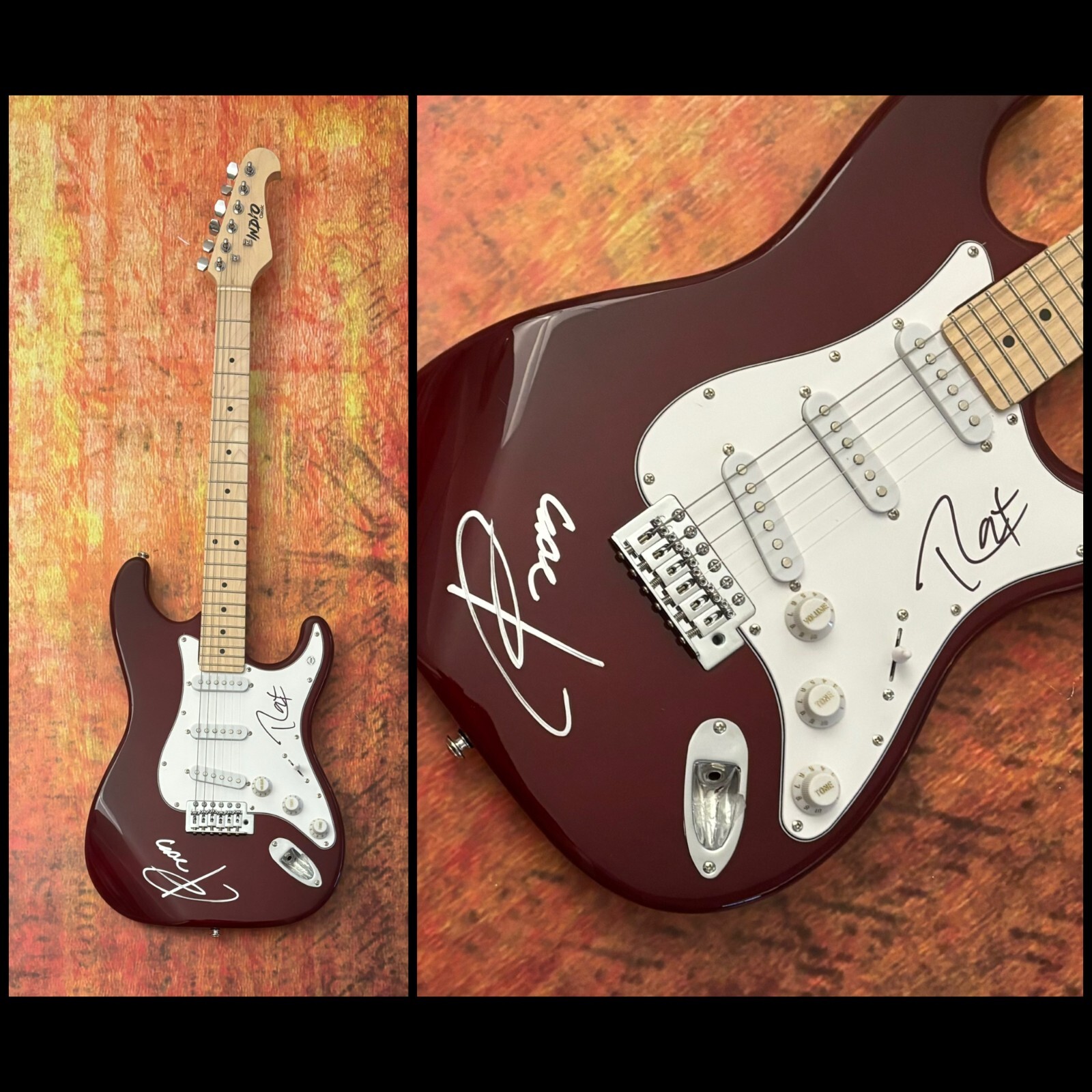 PSA Phil Anselmo & Rex Brown * PANTERA * Signed Band Electric Guitar PROOF COA