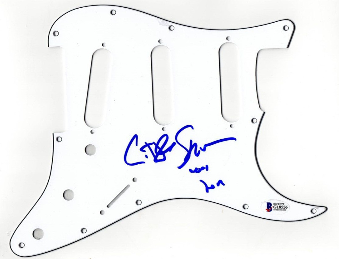 Steven Van Zandt Signed Stratocaster Pickguard Guitar Autograph Beckett