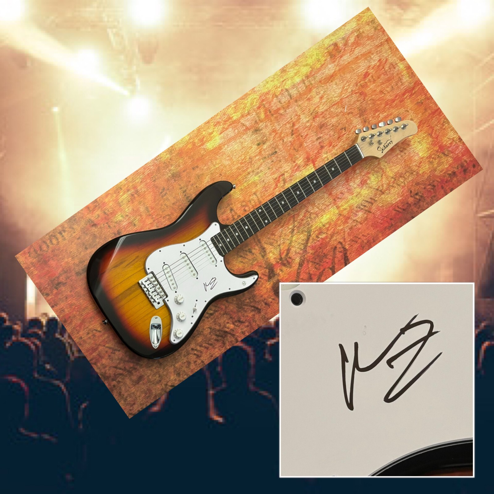 GFA Yeah Yeah Yeahs Guitarist * NICK ZINNER * Signed Electric Guitar PROOF COA