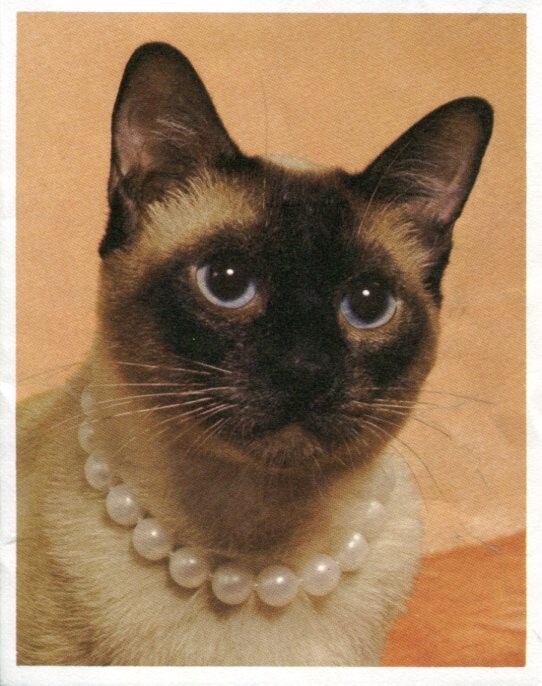 Drew Pearson Journalist Washington Merry-Go-Round NBC Radio Signed Autograph