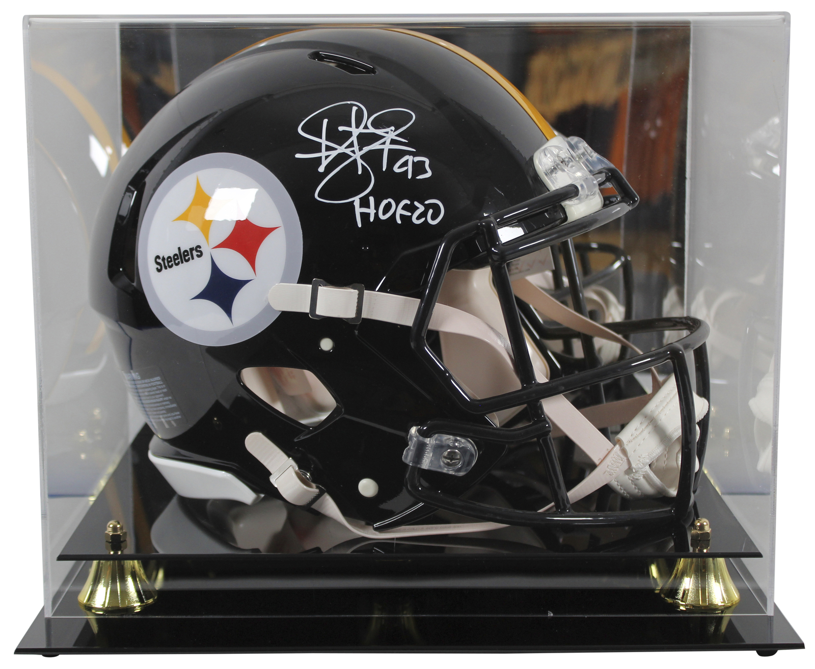 Steelers Troy Polamalu 