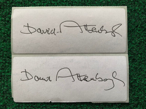 DAVID ATTENBOROUGH LOT OF 2 SIGNED STICKERS TO INSERT IN HIS BOOKS+COA COLLECTIBLE MEMORABILIA