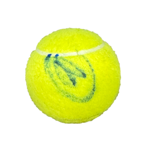 NOVAK DJOKOVIC SIGNED AUTOGRAPH TENNIS BALL – WINNINGEST GRAND SLAM CHAMPION JSA COLLECTIBLE MEMORABILIA