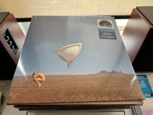 THE CRANBERRIES - BURY THE HATCHET 2xLP VINYL RSD 2024 RECORD STORE DAY ...