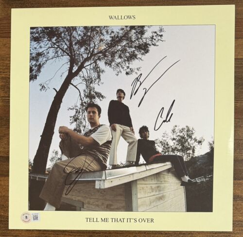 Wallows Music shops Vinyl AUTOGRAPHED