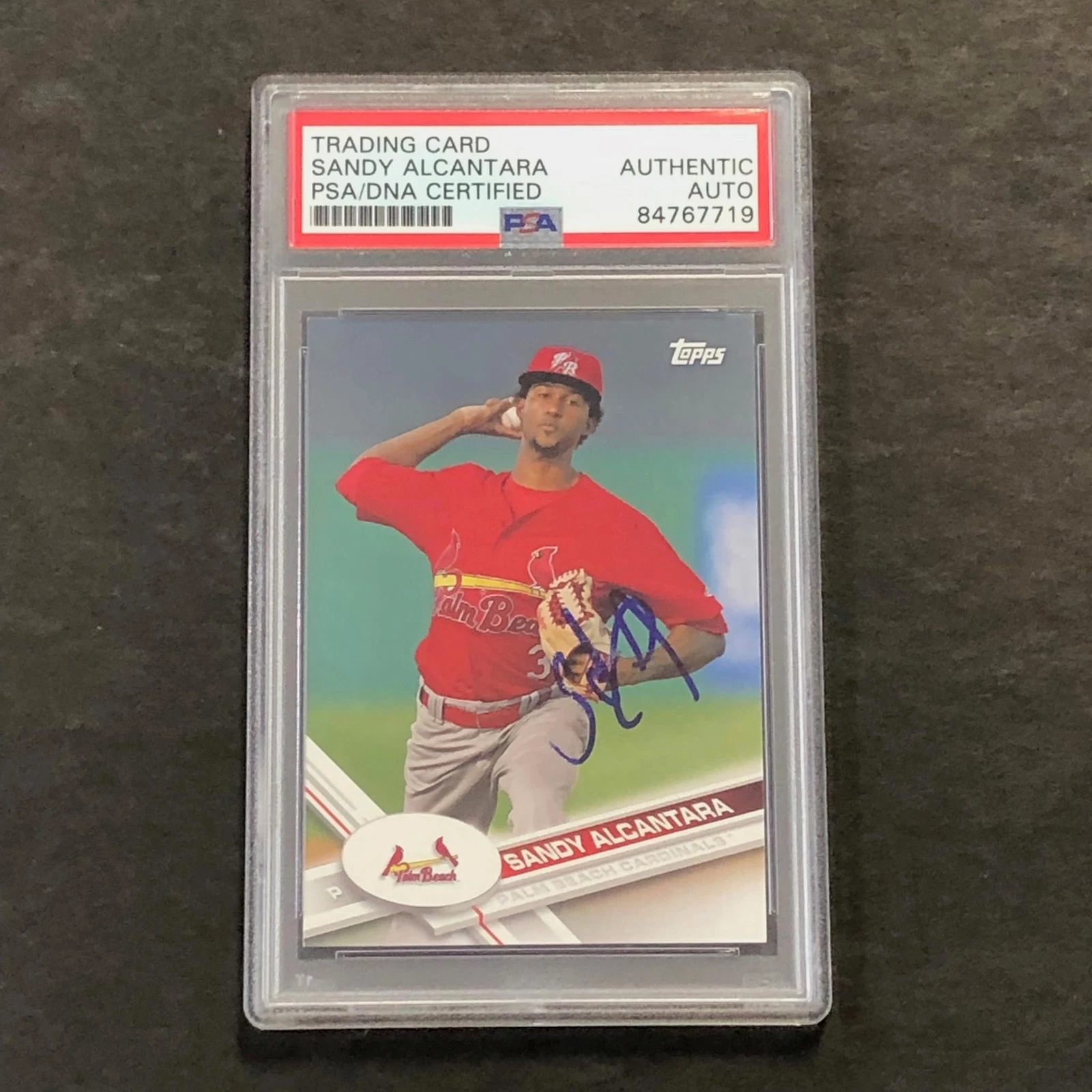 2017 Topps Pro Debut #13 Sandy Alcantara Signed Card PSA Slabbed Auto Cardinals