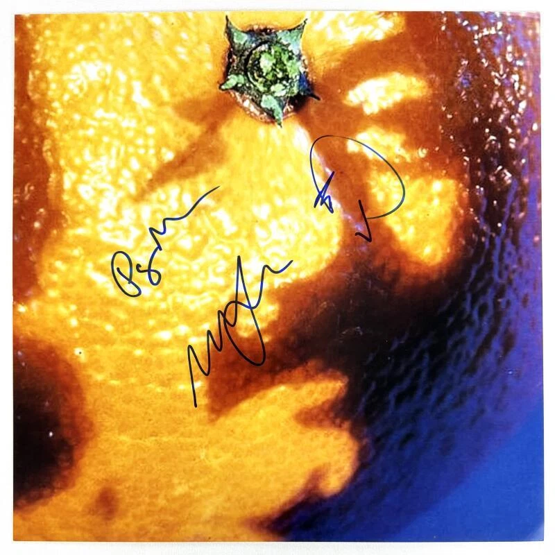 Phish Band x3 Signed Autograph 12x12 Nectar Album LP Flat - Trey Mike & Page