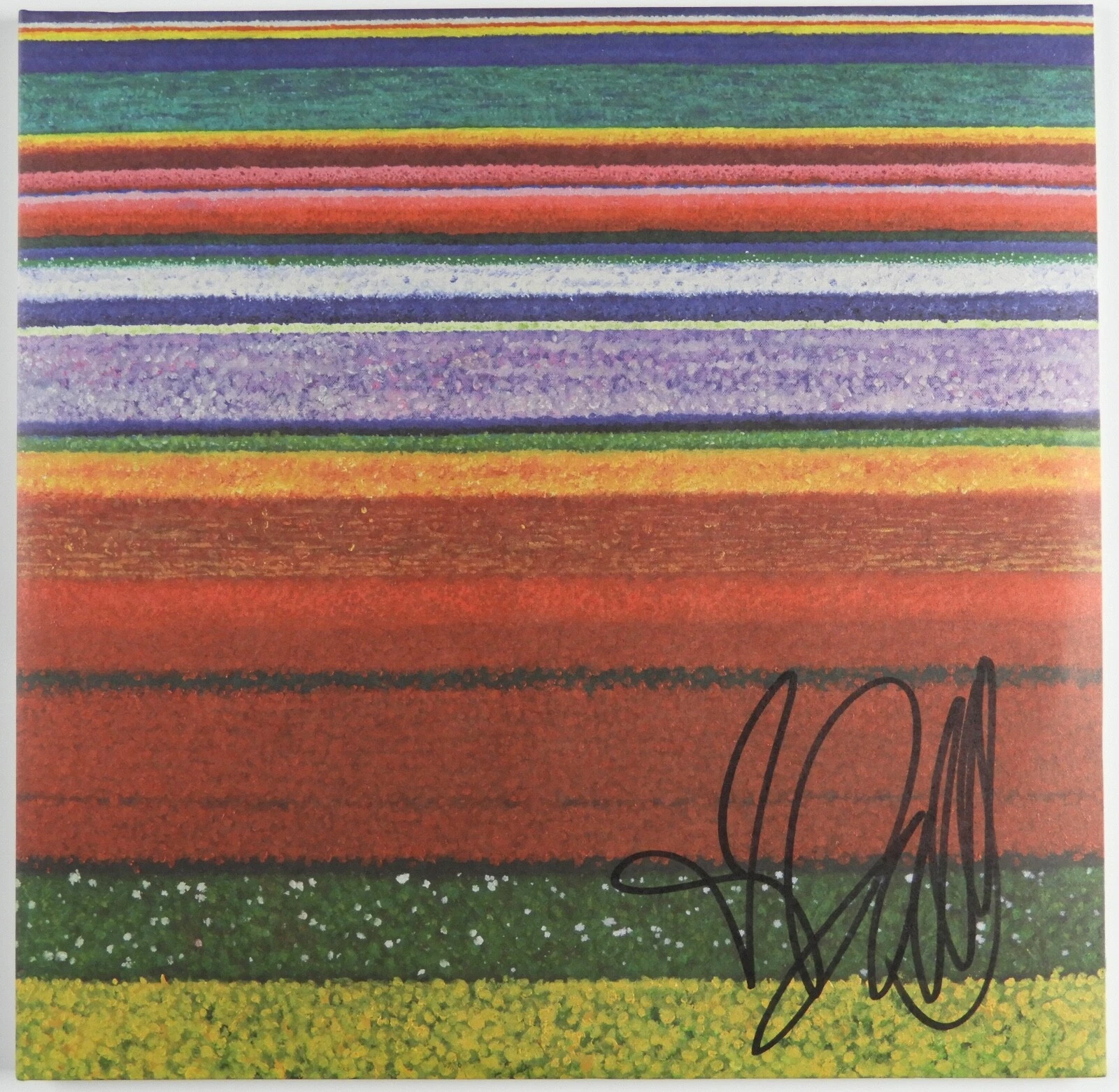 Dallas Green JSA Signed Autograph Record Vinyl Little Hell