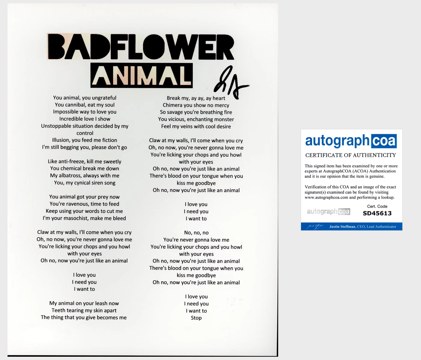 JOSH KATZ SIGNED AUTOGRAPH BADFLOWER ANIMAL LYRICS SHEET w/EXACT PROOF