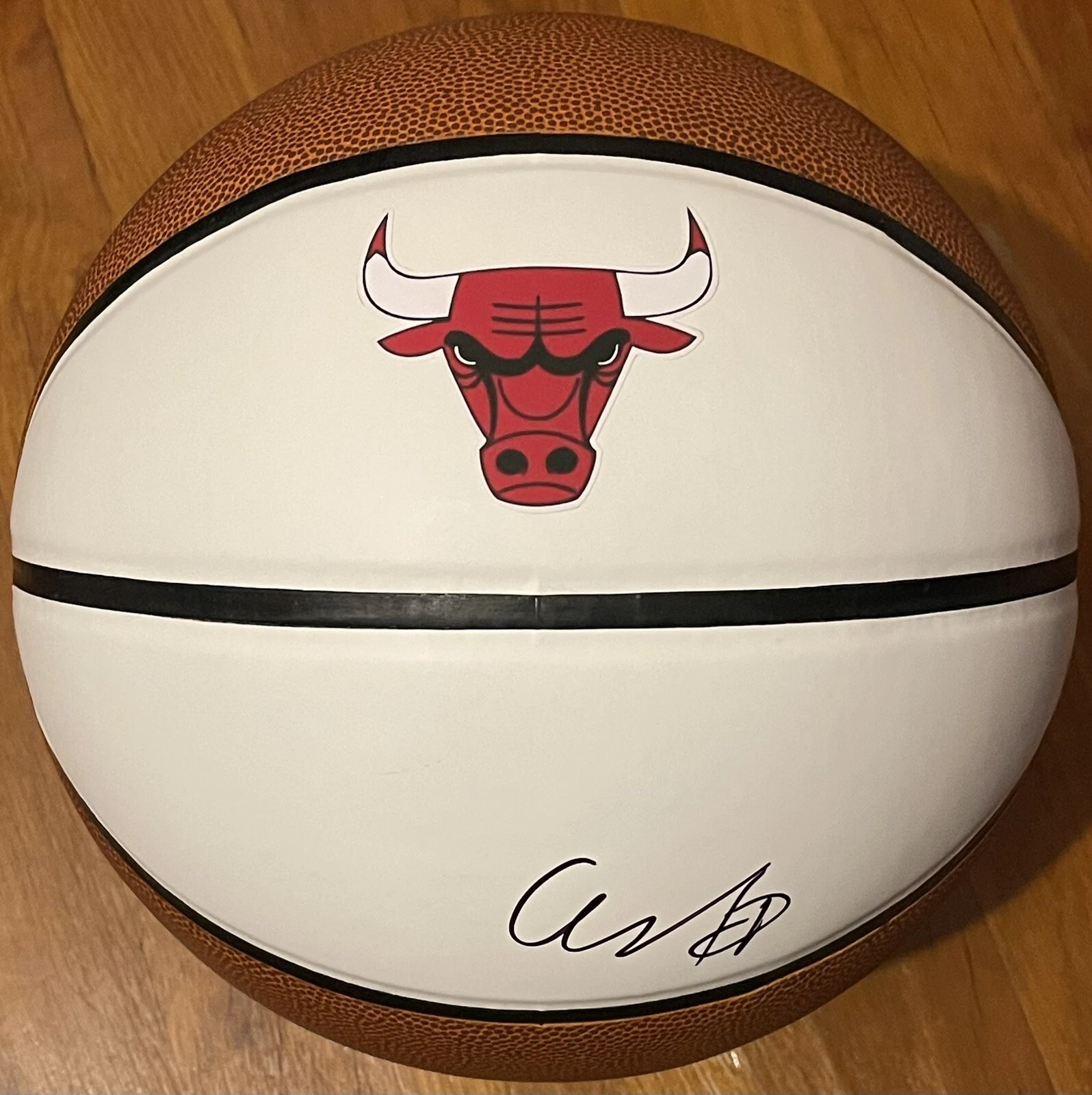 Coby White Signed Autographed Chicago Bulls Logo Basketball JSA COA