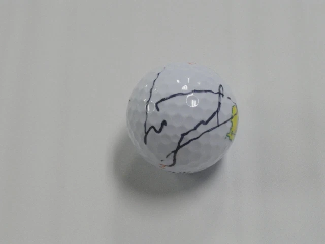 LUKE DONALD SIGNED TITLEIST MASTERS GOLF BALL AUTOGRAPHED RYDER CUP RARE