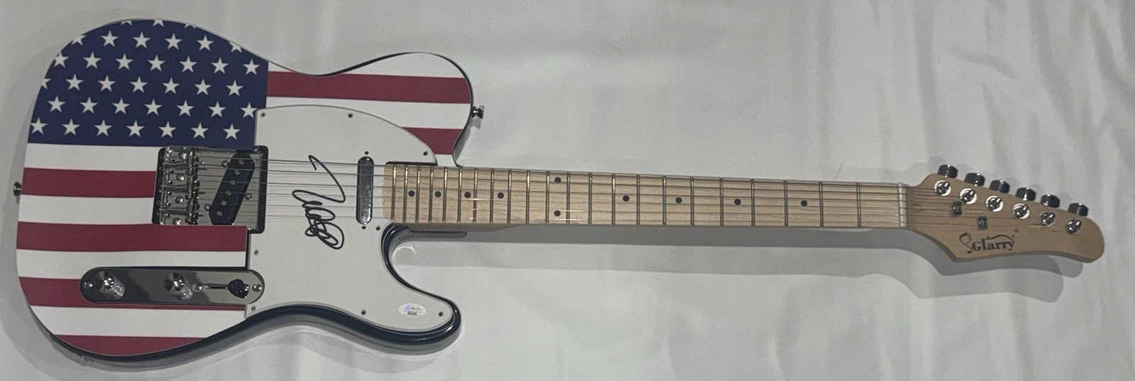 MIKE LOVE SIGNED USA FLAG ELECTRIC GUITAR THE BEACH BOYS JSA COA 2