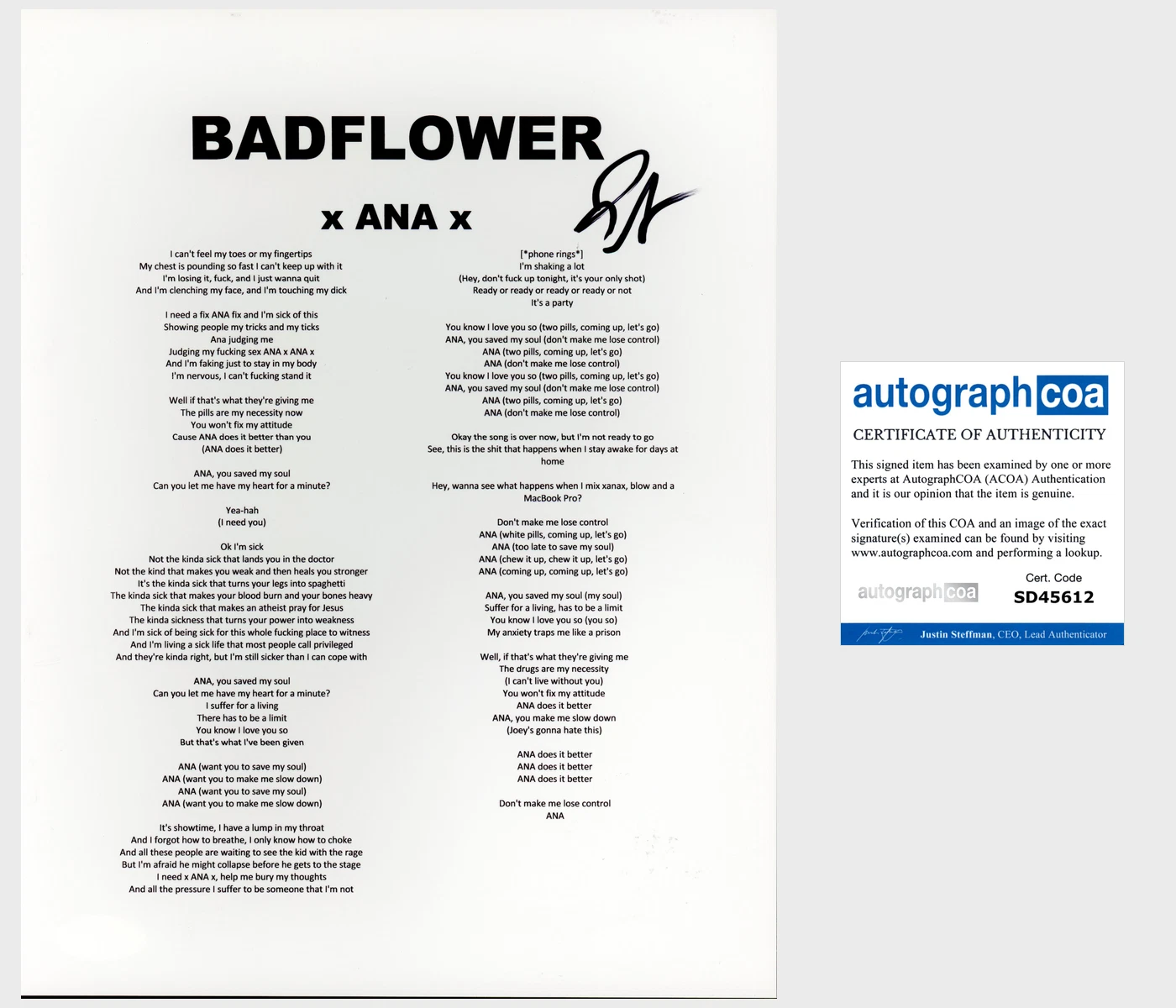 JOSH KATZ SIGNED AUTOGRAPH BADFLOWER X ANA X XANAX LYRICS SHEET w/EXACT PROOF