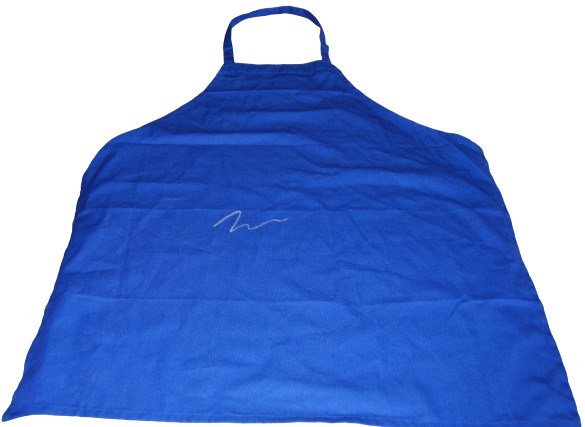 JEREMY ALLEN WHITE signed (THE BEAR) Blue Apron Carmie BECKETT BAS BM98714