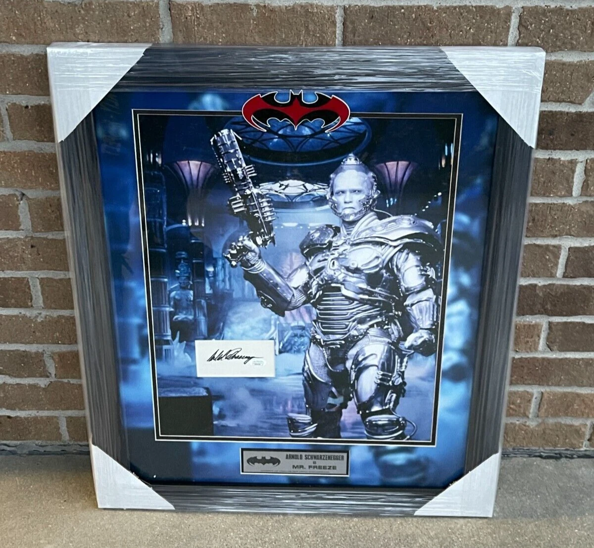 Arnold Schwarzenegger Signed Framed & Matted Mr. Freeze Cut Showcase JSA COA