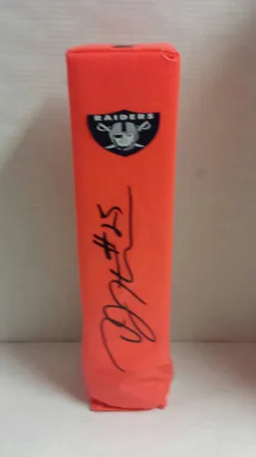 DJ HAYDEN SIGNED TOUCHDOWN PYLON OAKLAND RAIDERS FOOTBALL
