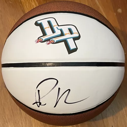 RICHARD HAMILTON SIGNED AUTOGRAPHED DETROIT PISTONS LOGO BASKETBALL JSA COA COLLECTIBLE MEMORABILIA