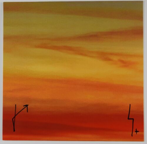 THIRTY SECONDS TO MARS JARED LETO JSA FULLY AUTOGRAPH SIGNED ALBUM VINYL COLLECTIBLE MEMORABILIA