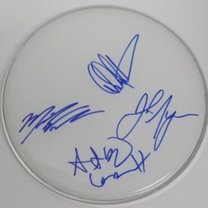 Y&T (Group Band) Signed Autograph Auto 12" Drumhead Drum Head by 4 JSA