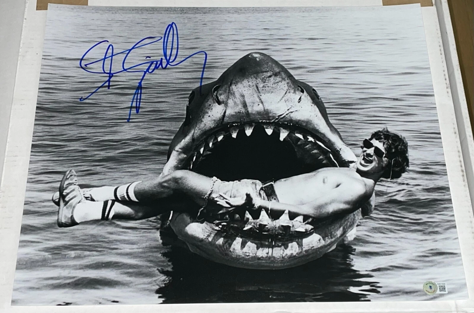Steven Spielberg Signed Autograph 16x20 Photo Authentic Jaws Director Beckett NY