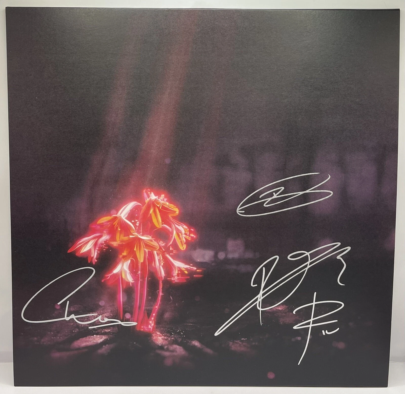 Enter Shikari Signed Autographed A Kiss For The Whole World Vinyl Record JSA COA