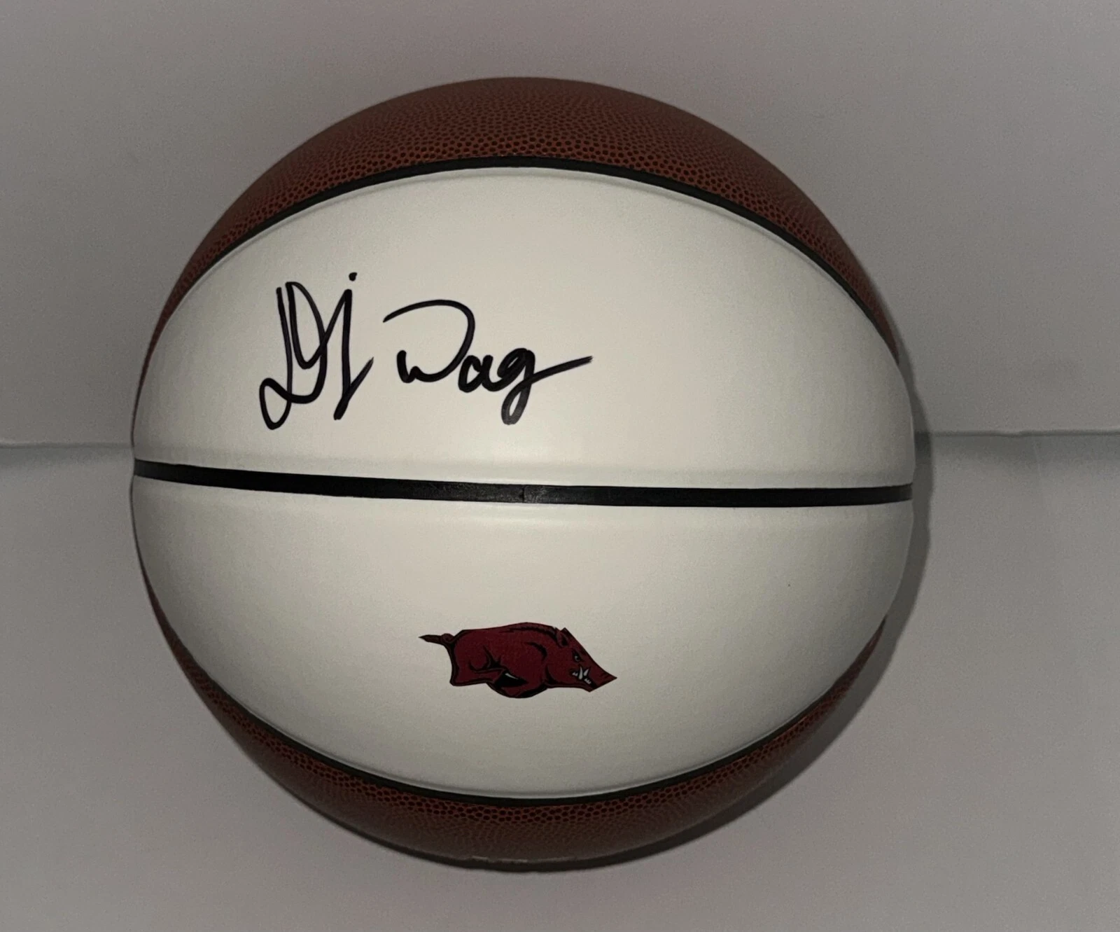DJ WAGNER SIGNED BASKETBALL ARKANSAS RAZORBACKS PROOF JSA COA