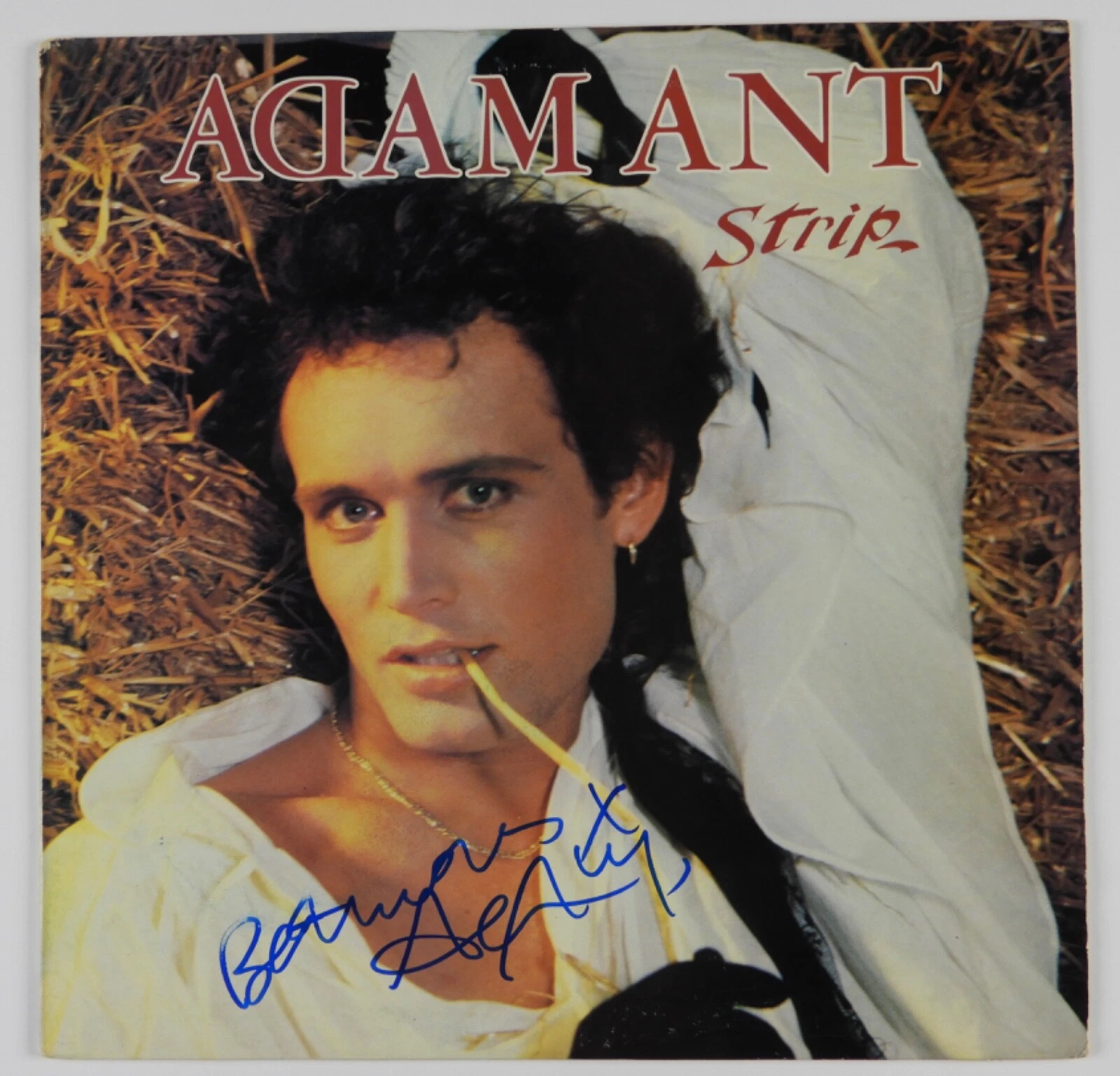ADAM ANT JSA SIGNED AUTOGRAPH ALBUM VINYL RECORD STRIP COLLECTIBLE MEMORABILIA