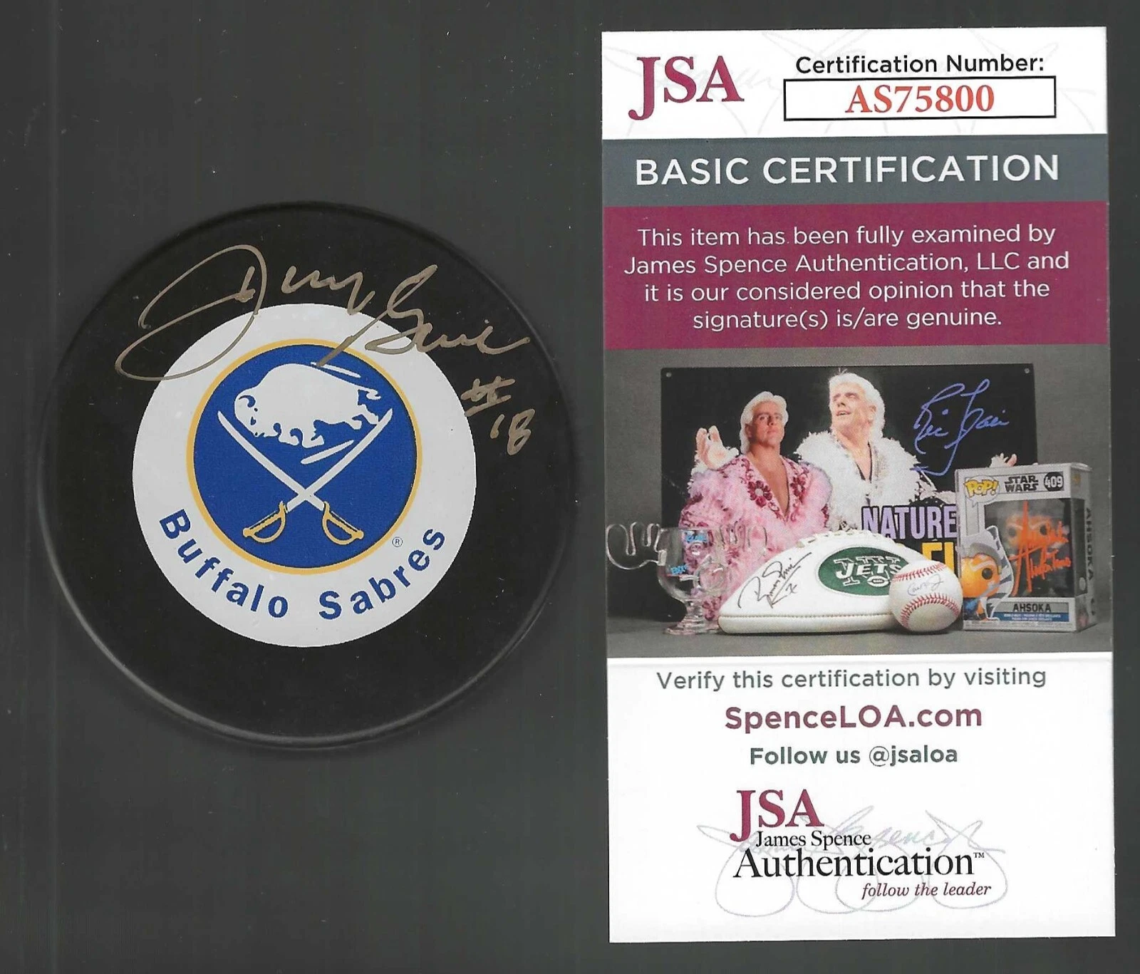 Danny Gare Signed Buffalo Sabres Souvenir Puck JSA COA