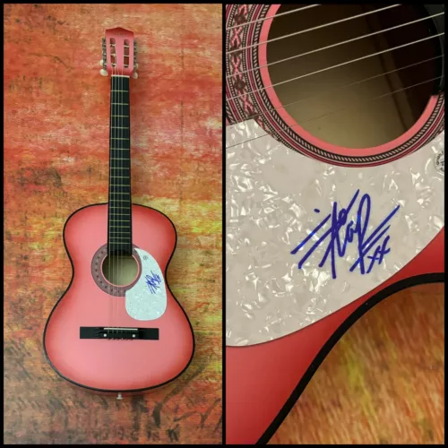 GFA HIATUS KAIYOTE BAND SINGER * NAI PALM * SIGNED ACOUSTIC GUITAR PROOF COA COLLECTIBLE MEMORABILIA
