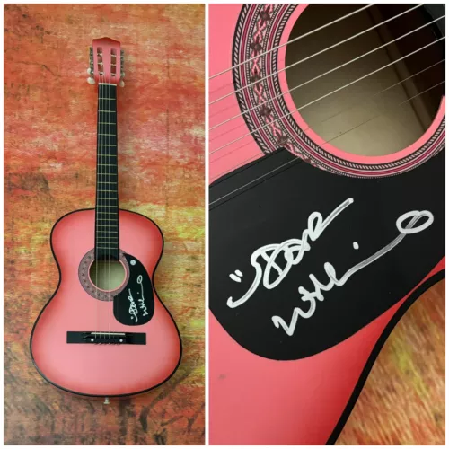 GFA IOWA MORTAL CITY * DAR WILLIAMS * SIGNED ACOUSTIC GUITAR PROOF D5 COA COLLECTIBLE MEMORABILIA