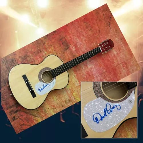 GFA JEFFERSON AIRPLANE * DAVID FREIBERG * SIGNED ACOUSTIC GUITAR PROOF COA COLLECTIBLE MEMORABILIA
