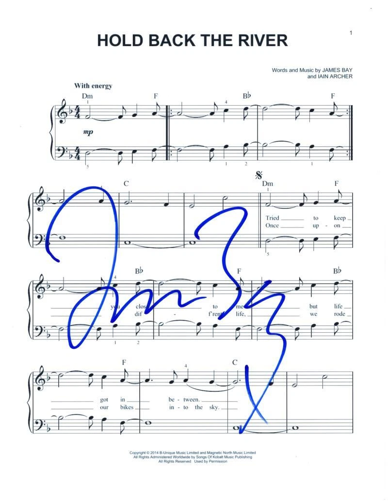 James Bay Signed Autograph Hold Back the River Sheet Music - Chaos and the Calm