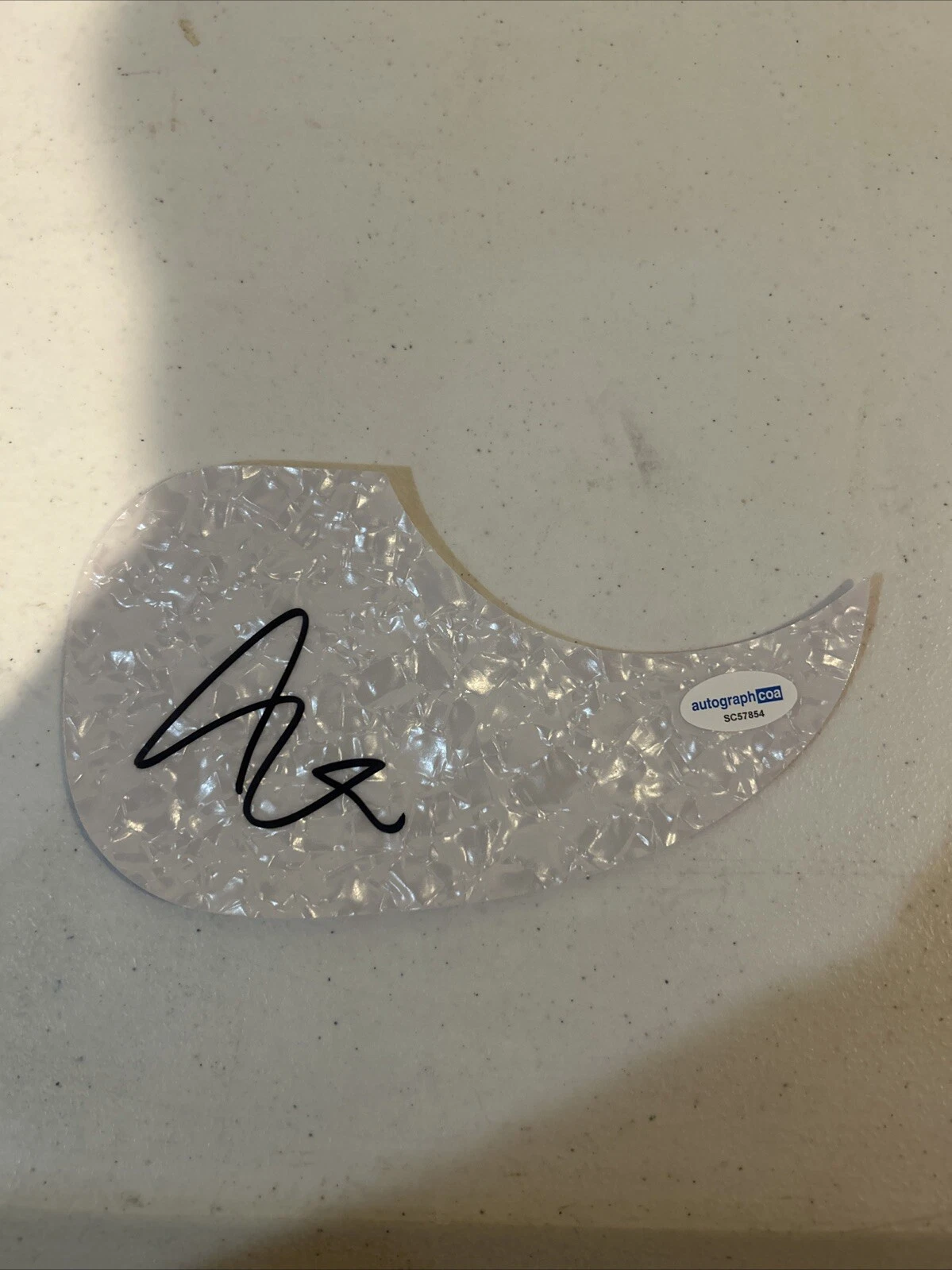 ART ALEXAKIS EVERCLEAR SIGNED AUTOGRAPH ACOUSTIC GUITAR PICKGUARD ACOA COA