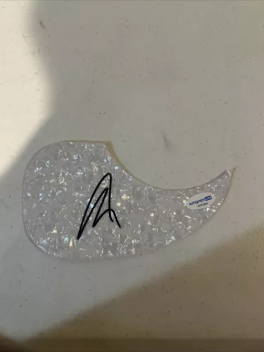 ART ALEXAKIS EVERCLEAR SIGNED AUTOGRAPH ACOUSTIC GUITAR PICKGUARD ACOA COA COLLECTIBLE MEMORABILIA