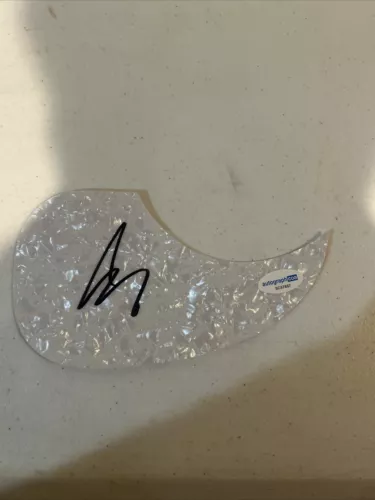 ART ALEXAKIS EVERCLEAR SIGNED AUTOGRAPH ACOUSTIC GUITAR PICKGUARD ACOA COA COLLECTIBLE MEMORABILIA