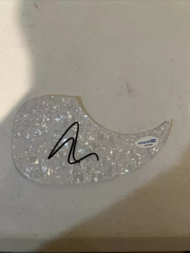 ART ALEXAKIS EVERCLEAR SIGNED AUTOGRAPH ACOUSTIC GUITAR PICKGUARD ACOA COA COLLECTIBLE MEMORABILIA