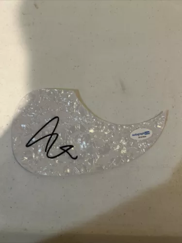 ART ALEXAKIS EVERCLEAR SIGNED AUTOGRAPH ACOUSTIC GUITAR PICKGUARD ACOA COA COLLECTIBLE MEMORABILIA