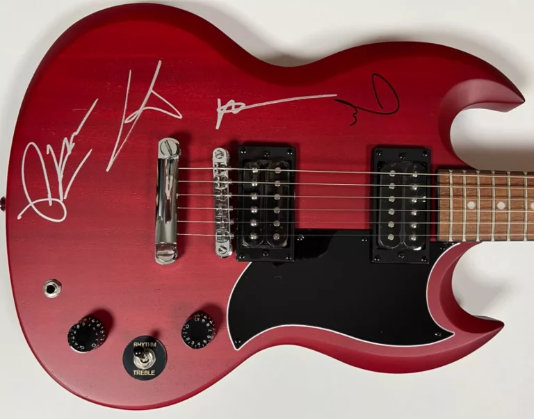FALL OUT BOY JSA AUTOGRAPH SIGNED GUITAR SG EPIPHONE FULLY SIGNED COLLECTIBLE MEMORABILIA