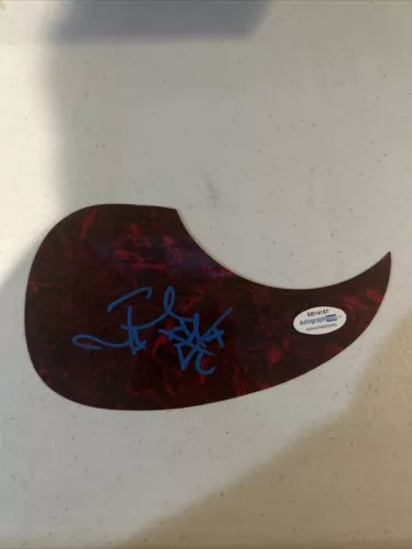 FRANK TURNER SIGNED AUTOGRAPH ACOUSTIC PICKGUARD GUITAR ACOA BE MORE KIND COLLECTIBLE MEMORABILIA